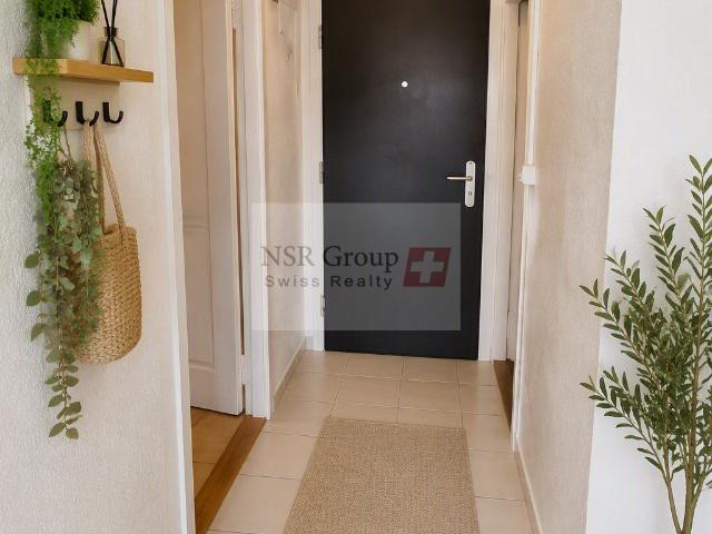 Apartment with 2 rooms for rent in Genève Ref LOC 1080 1 | dreamo. Ch