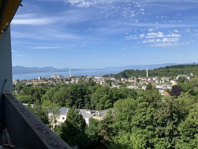 Apartment with 2 rooms for rent in Lausanne 40 m² | dreamo. Ch