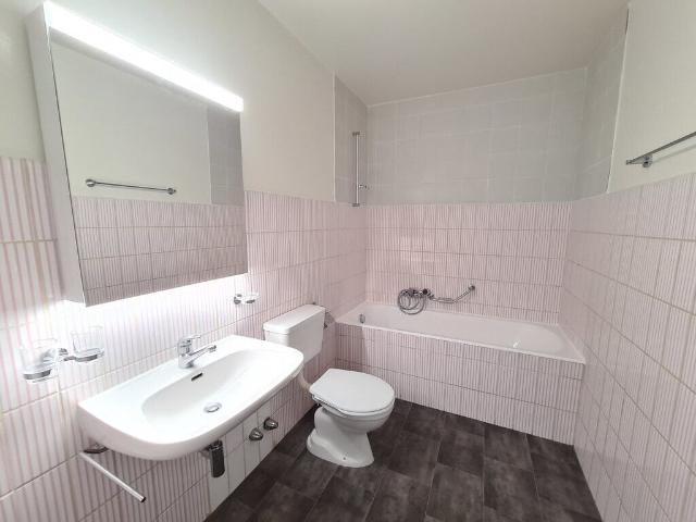 Apartment with 2 rooms for rent in Lausanne 50 m² | dreamo. Ch