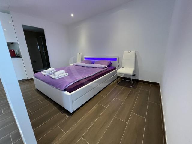 Apartment with 2 rooms for rent in Le Grand Saconnex 40 m² | dreamo. Ch