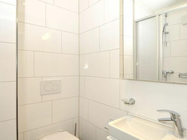 Apartment with 2 rooms for rent in Romanshorn 33 m² | dreamo. Ch