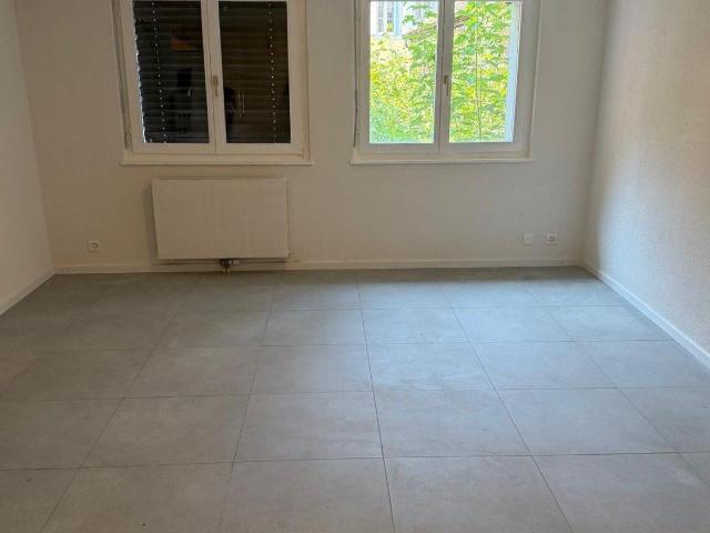 Apartment with 2 rooms for rent in Vevey Ref 1362.01.0003 | dreamo. Ch