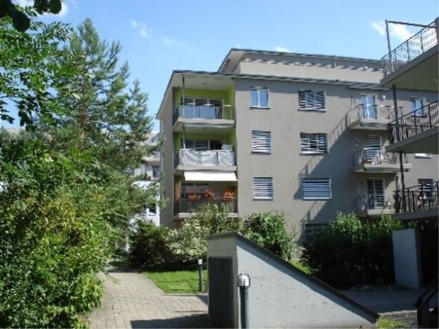 Apartment with 2 rooms for rent in Winterthur 39 m² | dreamo. Ch