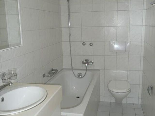 Apartment with 2 rooms for rent in Winterthur 51 m² | dreamo. Ch