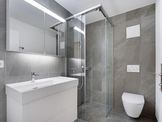 Apartment with 2.5 rooms for rent in Altstätten SG 56 m² | dreamo. Ch
