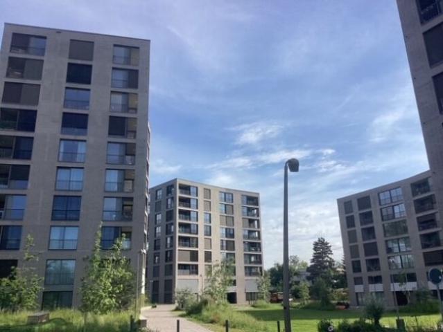 Apartment with 2.5 rooms for rent in Allschwil 59 m² | dreamo. Ch
