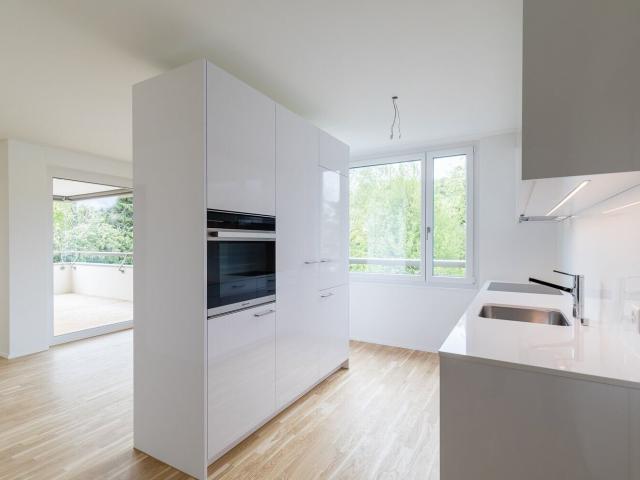 Apartment with 2.5 rooms for rent in Boniswil 68 m² | dreamo. Ch