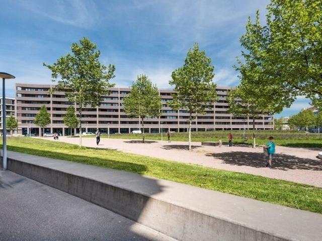 Apartment with 2.5 rooms for rent in Basel 52 m² | dreamo. Ch