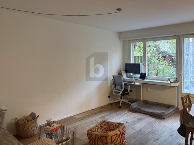 Apartment with 2.5 rooms for rent in Basel 52 m² | dreamo. Ch