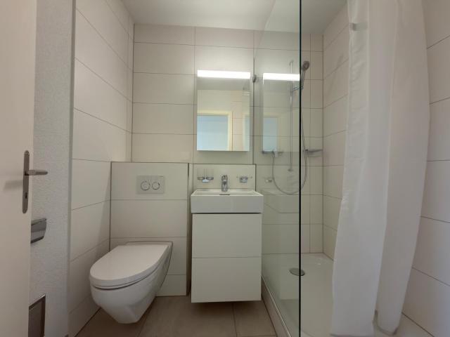 Apartment with 2.5 rooms for rent in Biel / Bienne | dreamo. Ch