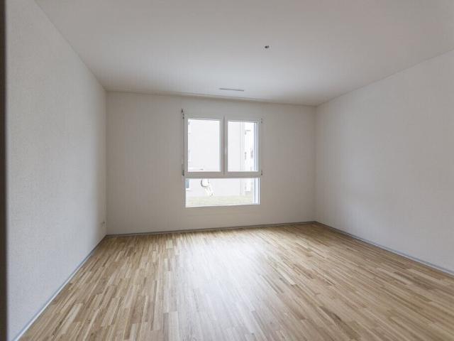 Apartment with 2.5 rooms for rent in Grenchen 42 m² | dreamo. Ch