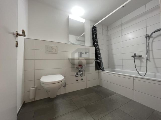 Apartment with 2.5 rooms for rent in Mandach 58 m² | dreamo. Ch