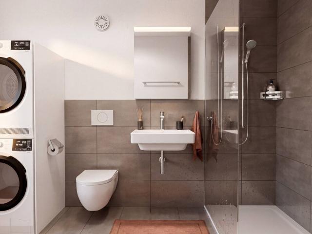 Apartment with 2.5 rooms for rent in Solothurn 56 m² | dreamo. Ch