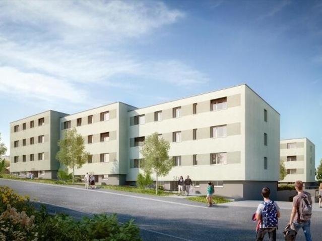 Apartment with 2.5 rooms for rent in Solothurn 52 m² | dreamo. Ch