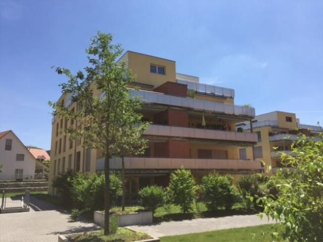 Apartment with 2.5 rooms for rent in Pfungen 66 m² | dreamo. Ch