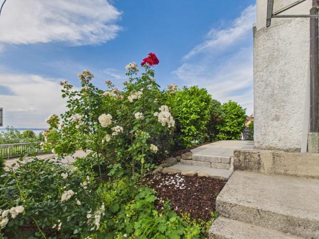 Apartment with 2.5 rooms for rent in Rorschacherberg | dreamo. Ch
