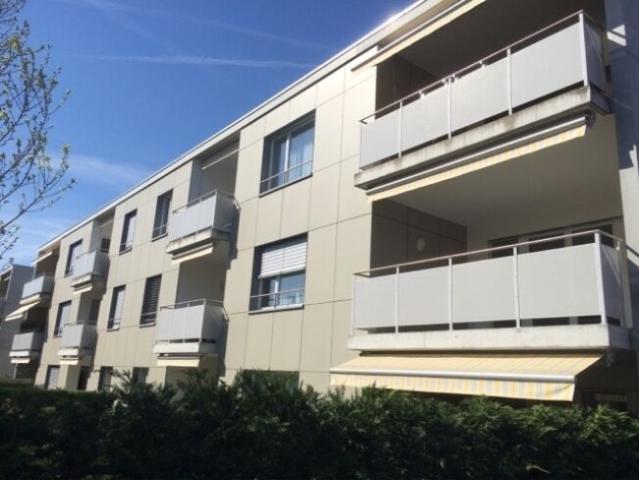Apartment with 2.5 rooms for rent in Wohlen AG 58 m² | dreamo. Ch