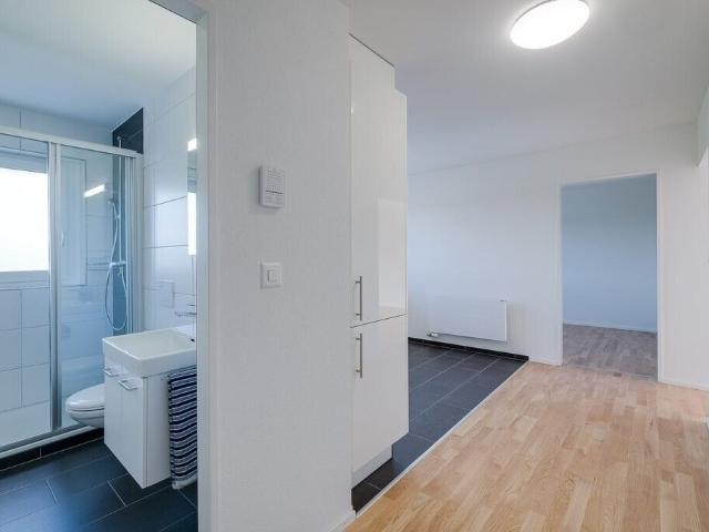 Apartment with 2.5 rooms for rent in Wil SG 51 m² | dreamo. Ch