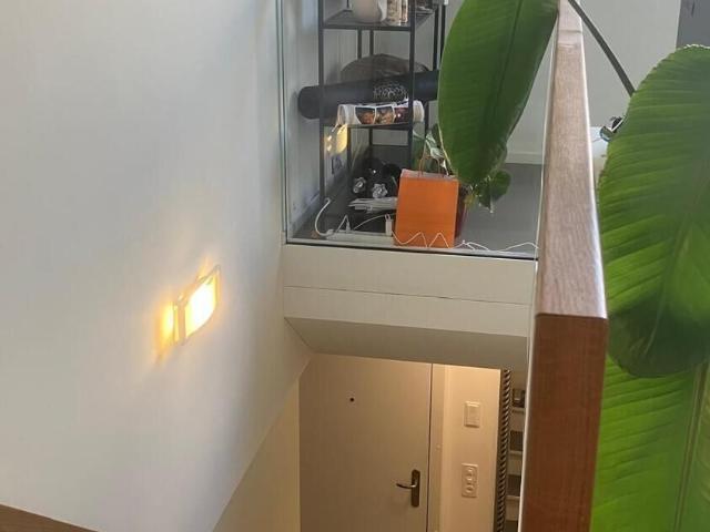 Apartment with 2.5 rooms for rent in Zürich 65 m² | dreamo. Ch