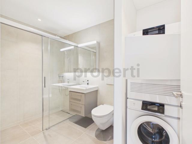 Apartment with 2.5 rooms for rent in Zürich 78 m² | dreamo. Ch