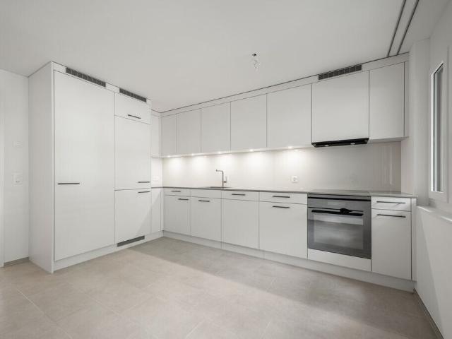Apartment with 2.5 rooms for rent in Zürich 97 m² | dreamo. Ch
