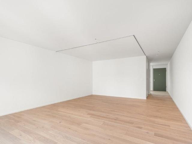 Apartment with 2.5 rooms for rent in Zürich 93 m² | dreamo. Ch