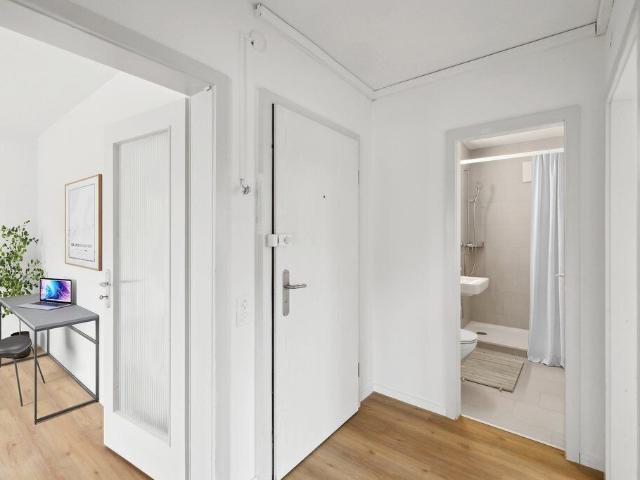 Apartment with 3 rooms for rent in Basel 70 m² | dreamo. Ch