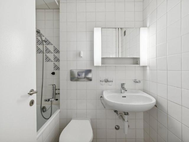 Apartment with 3 rooms for rent in Basel 72 m² | dreamo. Ch