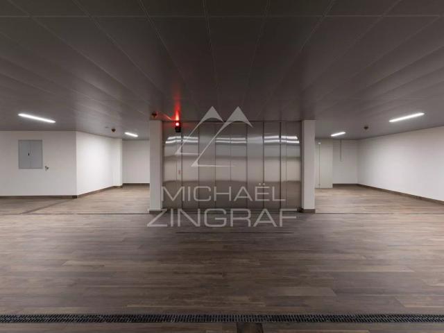 Apartment with 3 rooms for rent in Gstaad 177 m² | dreamo. Ch