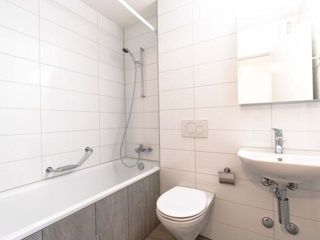 Apartment with 3 rooms for rent in Luzern 55 m² | dreamo. Ch