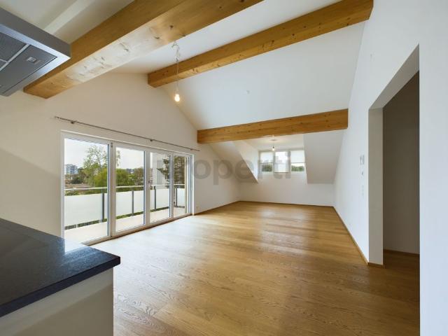 Exclusive 3.5 room penthouse apartment with luxury furnishings in Allschwil