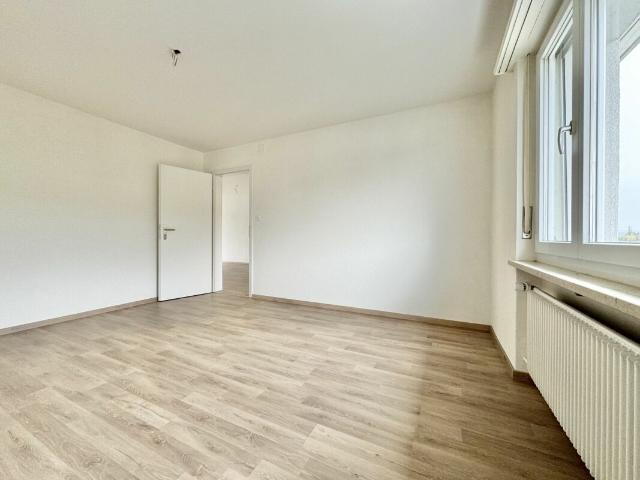 Apartment with 3.5 rooms for rent in Frick 64 m² | dreamo. Ch