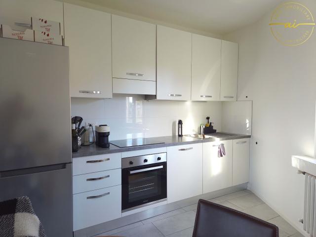 Apartment with 3.5 rooms for rent in Morbio Inferiore | dreamo. Ch