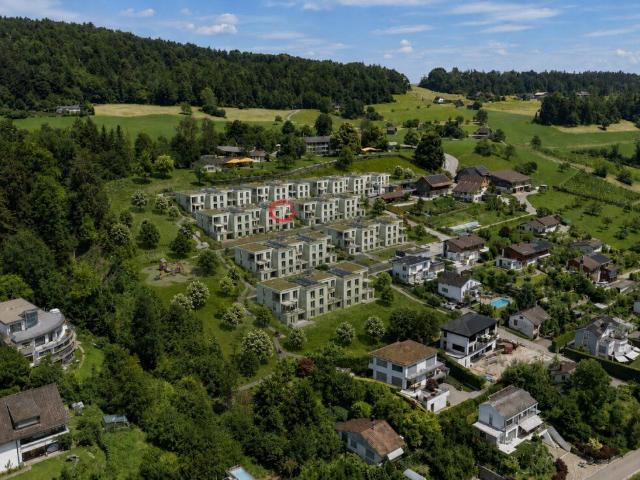 Apartment with 3.5 rooms for rent in Männedorf 97 m² | dreamo. Ch