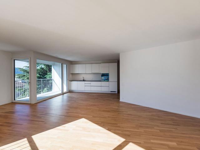 Apartment with 3.5 rooms for rent in Massagno 87 m² | dreamo. Ch
