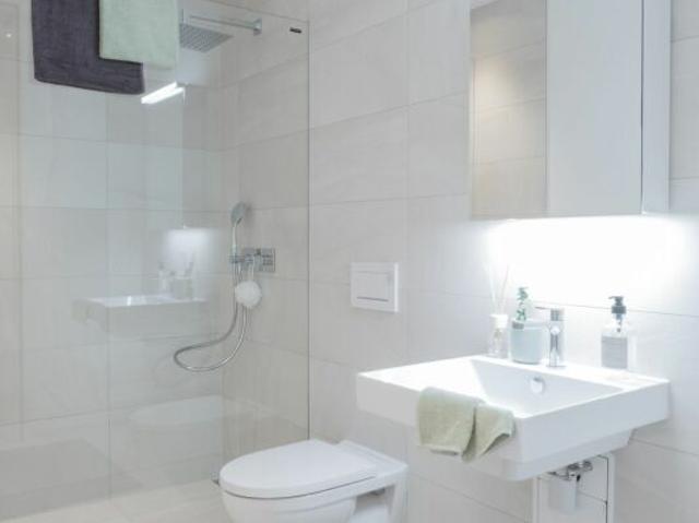 Apartment with 3.5 rooms for rent in Merlischachen | dreamo. Ch