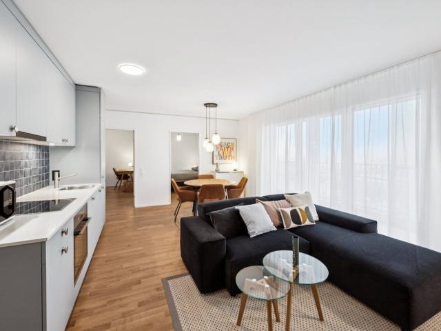 Apartment with 3.5 rooms for rent in Muttenz | dreamo. Ch