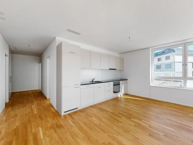 Apartment with 3.5 rooms for rent in Neuhausen am Rheinfall 74 m² | dreamo. Ch
