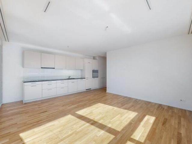 Apartment with 3.5 rooms for rent in Neuhausen am Rheinfall 81 m² | dreamo. Ch