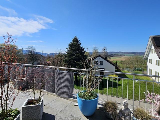 Apartment with 3.5 rooms for rent in Schneisingen 100 m² | dreamo. Ch
