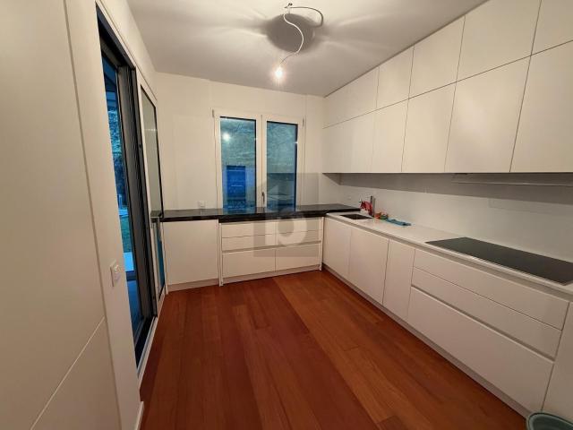 Apartment with 3.5 rooms for rent in Paradiso 156 m² | dreamo. Ch