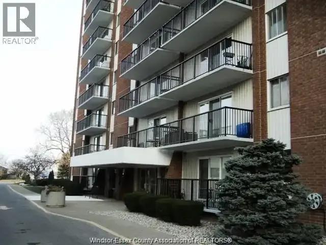 Apartment Windsor ON 104470871