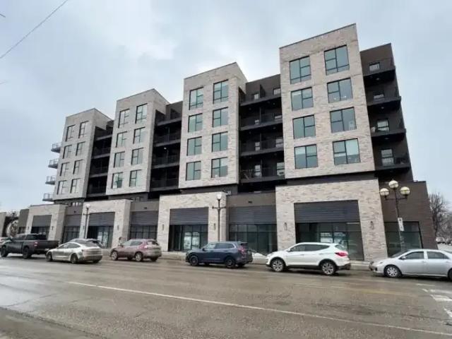Apartment Winnipeg MB 101301046