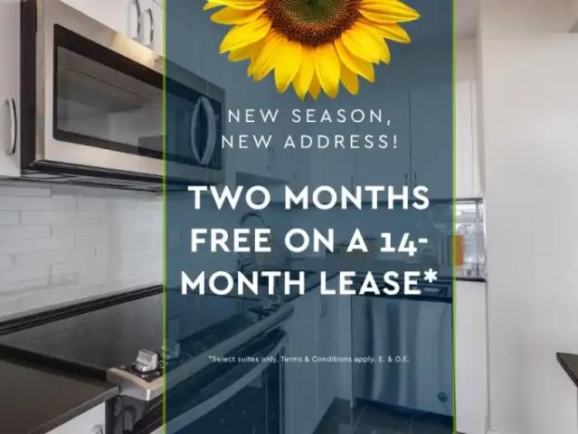 Apartment Toronto ON 105247437