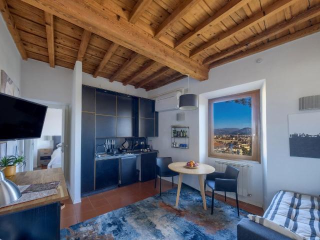 Apartments Florence Costa San Giorgio with view