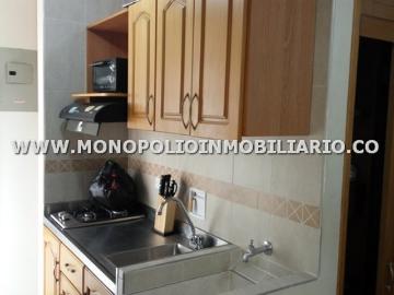 Apartaestudio Amoblado En Arriendo Barrio Cristóbal Cod: 11061