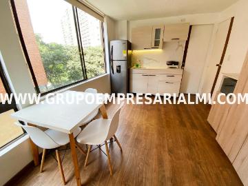 Apartaestudio Amoblado En Arriendo Sector Las Orquídeas Cod: 30912
