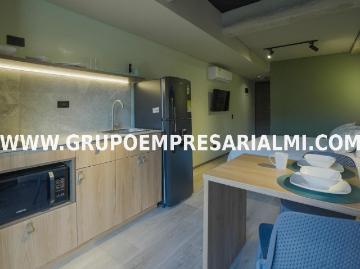 Apartaestudio Amoblado En Arriendo Sector Los Alpes Cod: 33219
