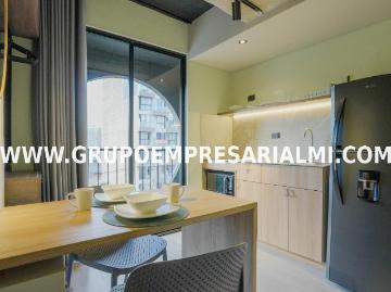 Apartaestudio Amoblado En Arriendo Sector Los Alpes Cod: 33221