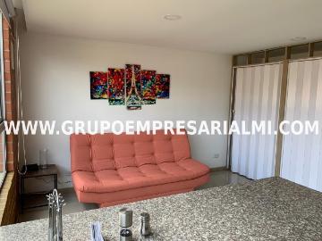 Apartaestudio Amoblado En Arriendo Sector Pilsen Cod: 28195